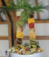 Fruit Palm Tree