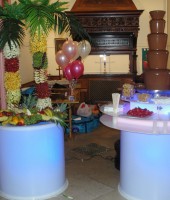 Chocolate Fountain & Fruit Palm