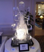 Puzzle piece single or double vodka ice luge