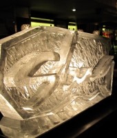 Pub Slug Company Logo Ice