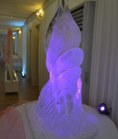 Shell Ice Luge